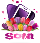 Sota